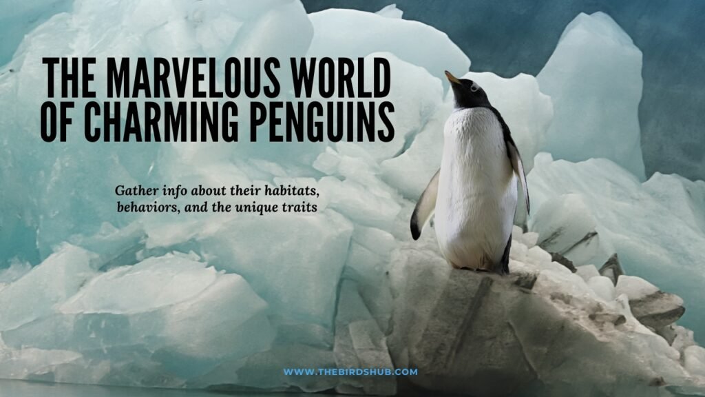 charming penguins