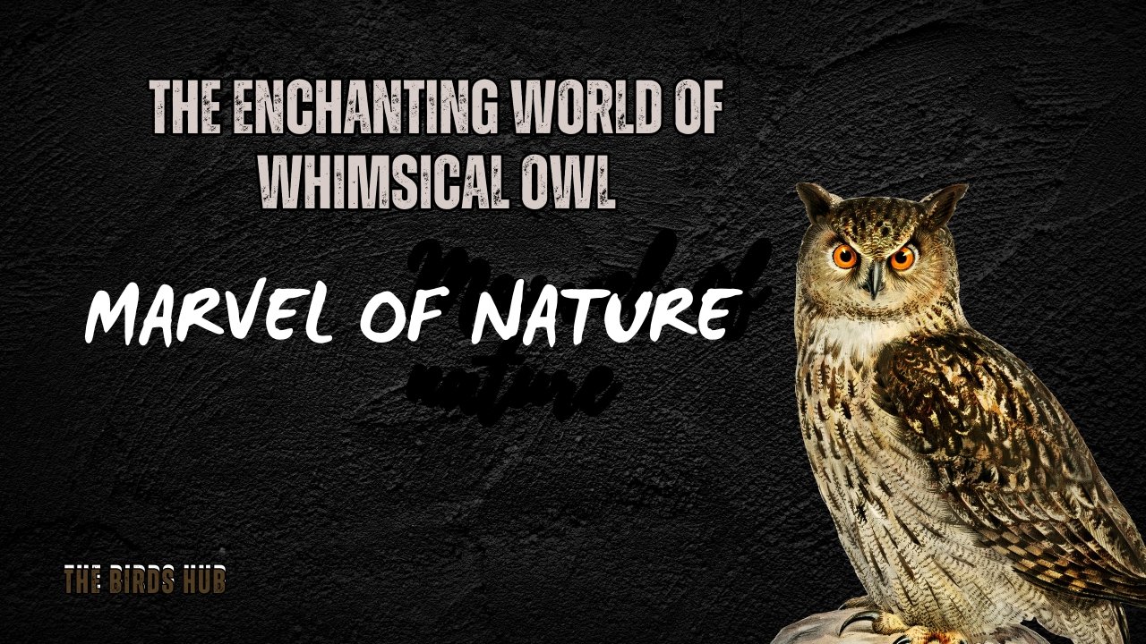 Whimsical Owl